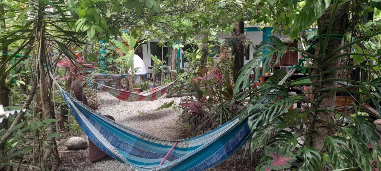 Cabinas Del Mar Sámara Eksteriør bilde