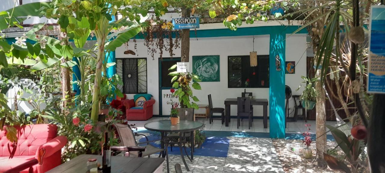 Cabinas Del Mar Sámara Eksteriør bilde