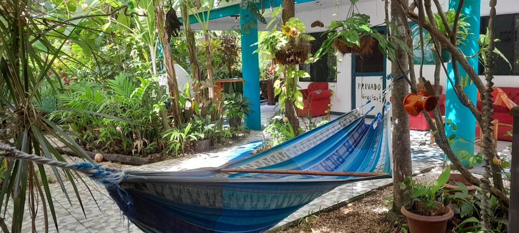 Cabinas Del Mar Sámara Eksteriør bilde
